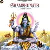 About Shambhunath Song