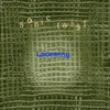 Lacewing