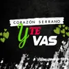About Y Te Vas Song