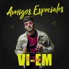 About Amigos Especiales Song