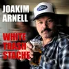 About White Trash Stache (Demo) Song