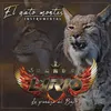 About El Gato Montes Instrumental Song