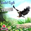 About Truth Song