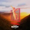 About Remedy Extended Mix Song