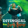 About Ditinggal Pas Sayang Sayange (Koplo Version) Song