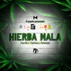 About Hierba Mala Song