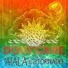 About Don't Care Song