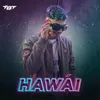 About Hawai Song