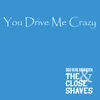 About You Drive Me Crazy Song