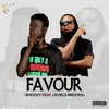 About Favour Song