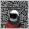 About Tribal Mysteries (2020) Song