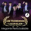 Megamix Fiesta Bailable: Amor de Hospital / Los Pinos y los Ciruelos / Morena Morenita / Ni Tuya Ni Mía / Quien No Le Ha Llorado a una Mujer / Por Alguien