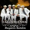 About Megamix Bailable: Y Te Pienso / Debate de Cuatro / No Entiendo / Mi Eterno Amor Secreto / Como Olvidar / Basta Ya / Olvídala / Rosita de Olivo Song