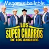 Megamix Bailable: Que Critiquen / Adiós Corazón / La Burra Tuerta / El Niño y la Boda / Enamorado de Mi Suegra / Sopa de Caracol / María Tete / Vagabundo