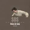 About Mans de fang (trencadís) Song