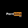 About Perrísima Song