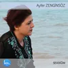 About Sevdiğim Song