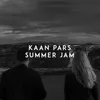 About Summer Jam Song