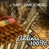 Sapo Cancionero