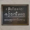 Sfortuna (feat. maggio & Tanca)