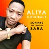 About Soninke wiyindo saha Song