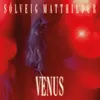 About Venus Song