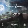 About Dime Luna Song