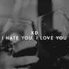 About I Hate You, I Love You Song