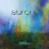 About Aurora Song