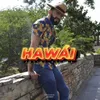 Abdiel Guerra-Hawai Cover