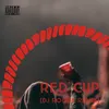 About Red Cup DJ Roody Remix Song
