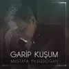 About Garip Kuşum Akustik Song