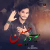 About Mere Veer Hussain Song