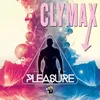 Pleasure Extended 12'' Mix