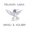 About Pelkkää ilmaa Song