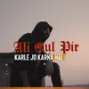 About Karle Jo Karna Hai Song