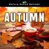 Autumn Cabin Ambience with Night Sounds, Wind and Crackling Fireplace (Loopable)