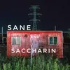 About Sane and Saccharin Song