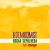 About Hjemkomst Song