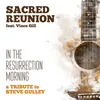 About In the Resurrection Morning (feat. Vince Gill, Barry Abernathy, Mark Wheeler, Doyle Lawson, Tim Stafford, Phil Leadbetter, Jim VanCleve & Jason Moore) Song