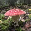 Mead Laced With Fly Agaric