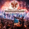 About One Night at Tomorrowland Song