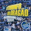 Vida de Dragão