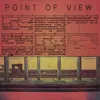 About Point of View Song