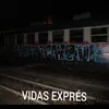 About Vida Exprés Song