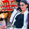 About Mera Babu Mera Sona Song