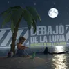 About Debajo de la Luna Song