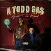 About A Todo Gas Song