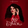 About Ay Amor Song