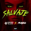 About Salvaje Song